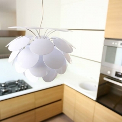 1237930_172169152968068_2134340781_n