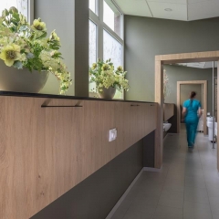 22555051_742292605955717_4950580107665022168_n